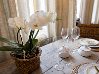 Overture Studio